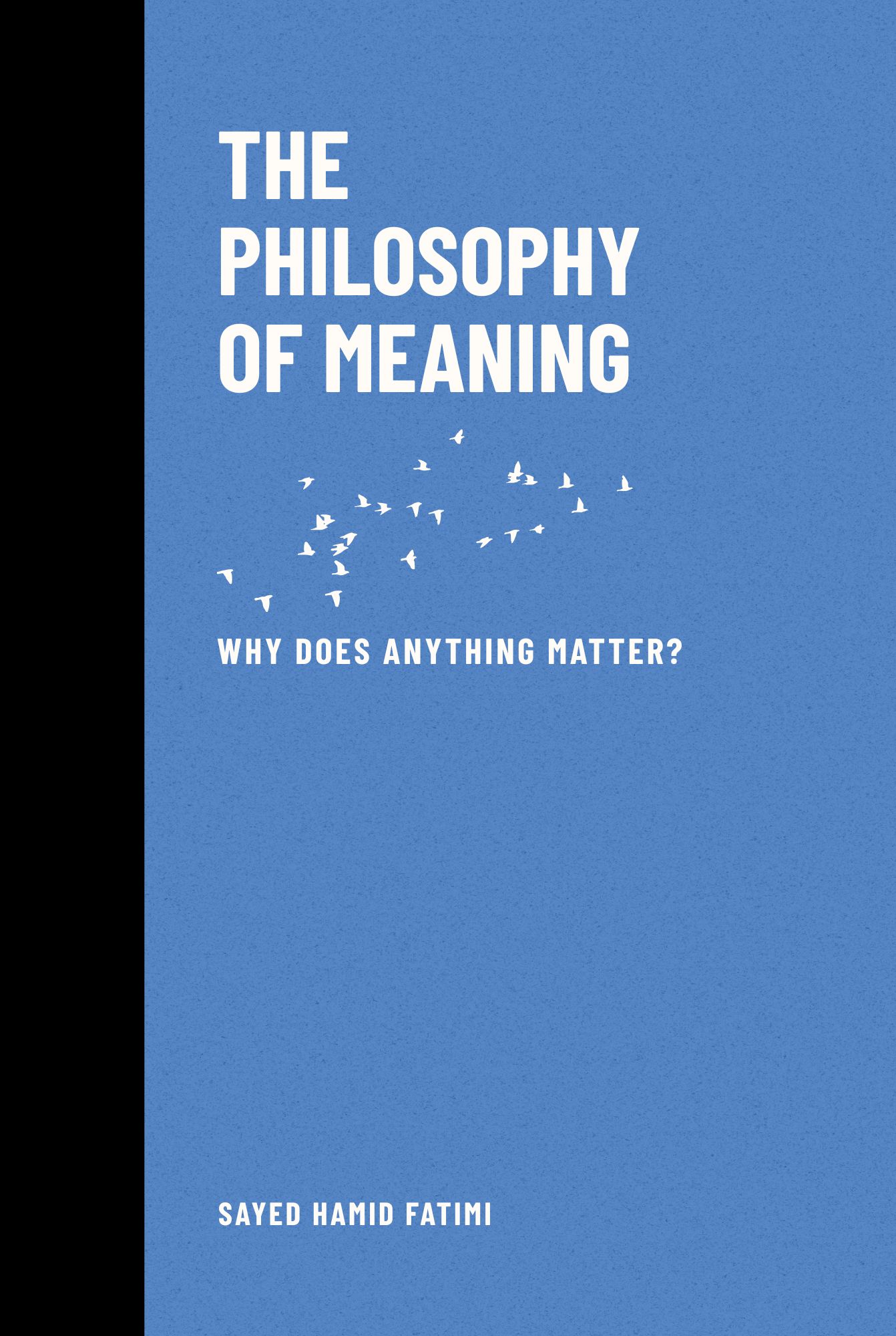 The Philosophy of Meaning cover